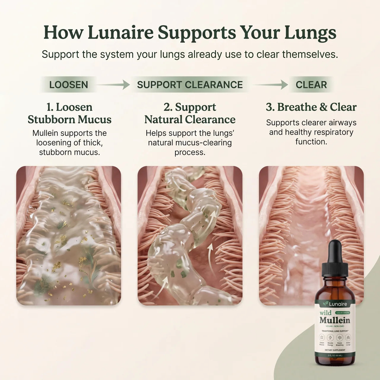 Lunaire — Mullein Drops