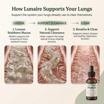 Lunaire — Mullein Drops